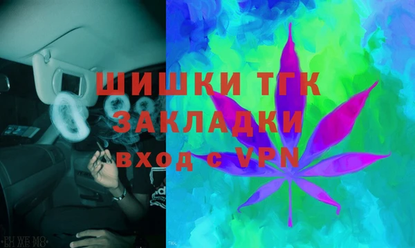 PSILOCYBIN Богданович